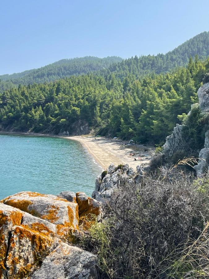 فيلا Elena'S House By The Sea نيكيتي المظهر الخارجي الصورة
